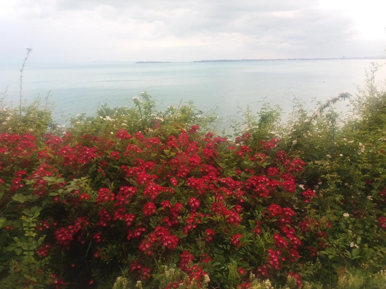 Hotel Sea Vista Sveti Vlas Esterno foto
